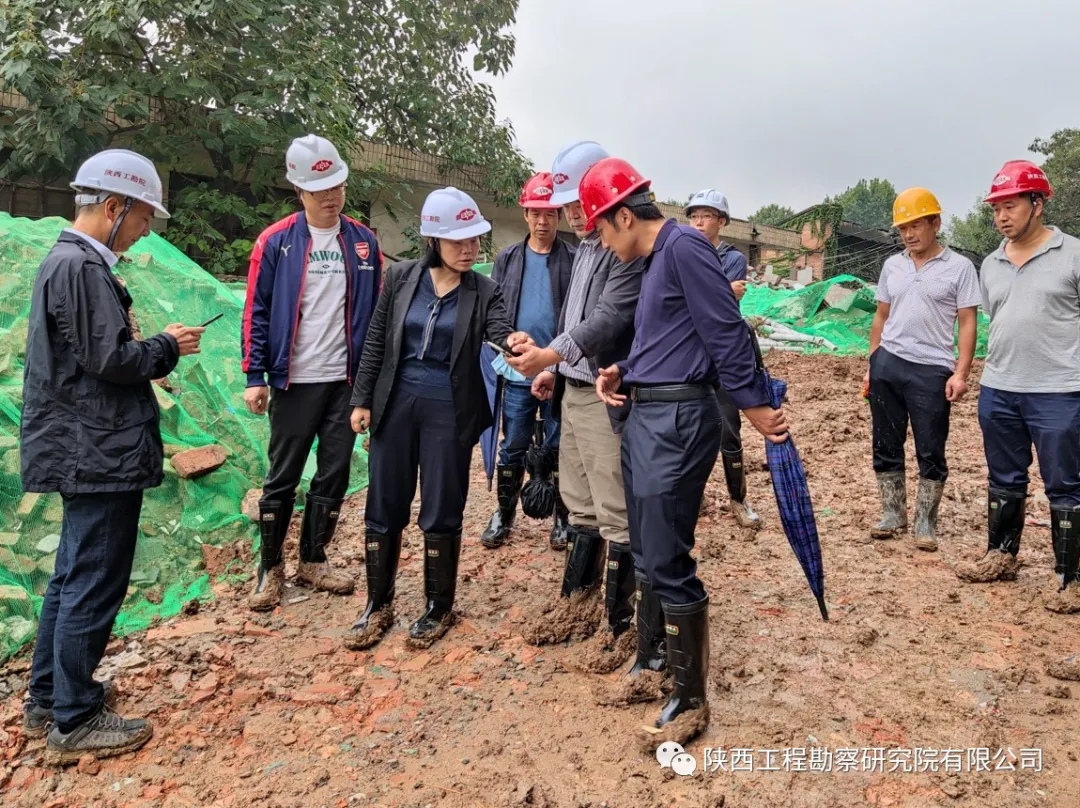 6197133565151.jpg 640.webp (2).jpg