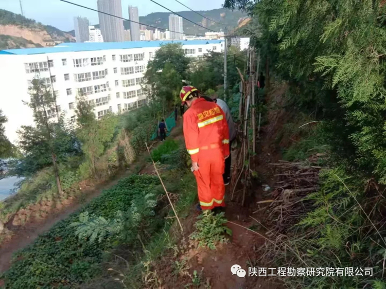 619dfe507f78b.jpg 640.webp (1).jpg