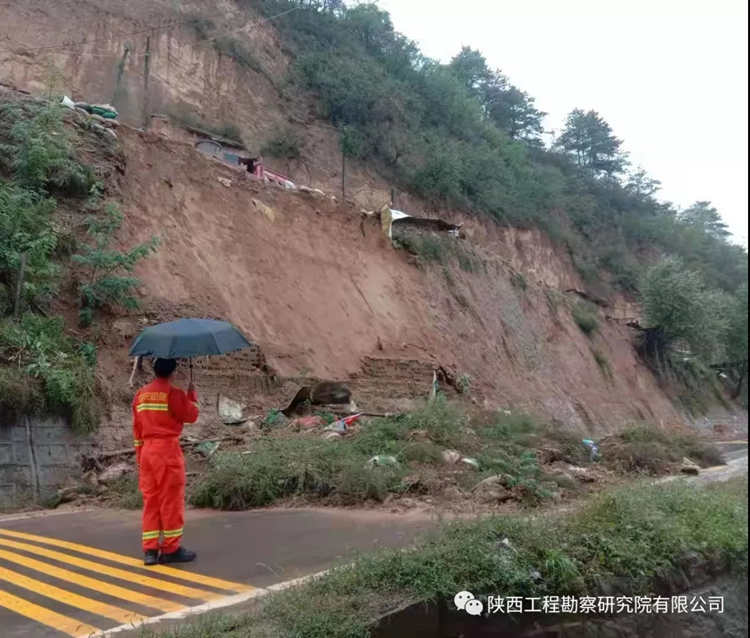 619dff7fb377c.jpg 640.webp (4).jpg